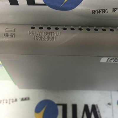 1C31219G01 ওয়েস্টিংহাউস ইথারনেট/আইপি কমিউনিকেশন প্রোটোকল সার্ভো মোটর