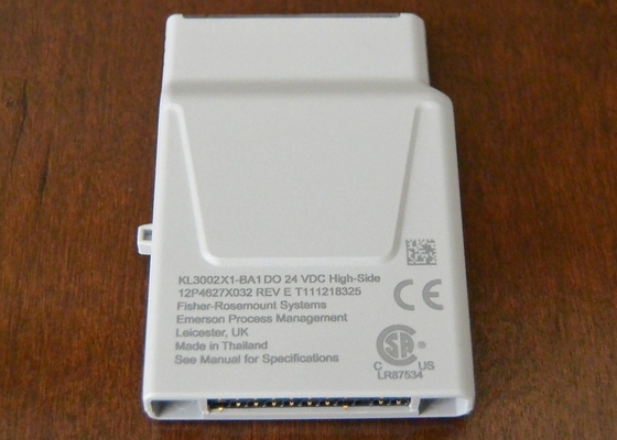 এমেরসন KL3002X1-BA1 1mm পিক ১৩.২Hz DO ২৪ VDC হাই সাইড চার্ম